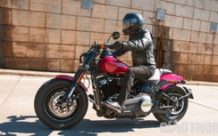 Harley Davidson bất ngờ hé lộ hàng loạt "chiến binh" mới