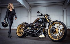 "Quái thú đường đua" Harley-Davidson có giá hàng tỷ đồng