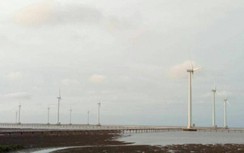 Dự án điện gió ở Cà Mau chậm triển khai, nhiều đơn vị tham mưu bị nhắc nhở