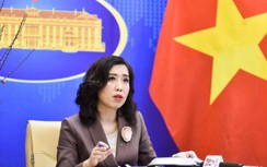 Việt Nam ủng hộ nạn nhân chất độc da cam kiện các công ty hóa chất Mỹ