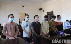 6 bị can đầu độc, bức tử rừng thông dọc đường Hồ Chí Minh lãnh 48 năm tù