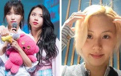 Chaeyoung Twice đáp trả cực gắt khi fan bình luận vô duyên