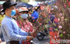Hà Nội: Chợ hoa "trăm tuổi" trầm lặng chiều 29 Tết