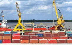 “Tàu buýt container” - Giải bài toán phát triển cho ĐBSCL