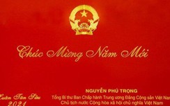 Tổng Bí thư, Chủ tịch nước chúc Xuân mới khí thế mới, thắng lợi mới