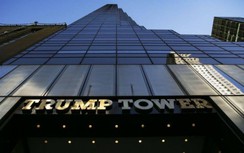 Động thái giúp New York khai thác bằng chứng Tổ chức Trump gian dối