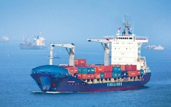 Hàng hải xây dựng đề án, tìm hướng đi mới cho vận tải biển Việt Nam