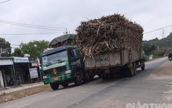 Đắk Lắk: Xe chở mía ngật ngưỡng, có dấu hiệu quá tải tung hoành trên QL26