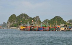 Điều tra vụ thi thể hai vợ chồng ngư dân trôi dạt trên vịnh Bái Tử Long
