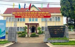 Xin tiền mua heo quay cúng nghĩa trang, "ghi nhầm" kinh phí phòng Covid-19