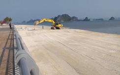 Quảng Ninh: Doanh nghiệp lấp lấn trái phép hàng héc ta bờ vịnh Bái Tử Long