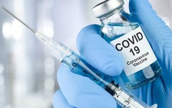 Những nhóm người nào ở Hải Dương sẽ được ưu tiên tiêm vaccine Covid-19