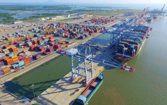 Hàng container qua cảng biển Bà Rịa - Vũng Tàu tăng mạnh