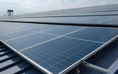 Lâm Đồng vào cuộc "siết" hoạt động đầu tư điện mặt trời
