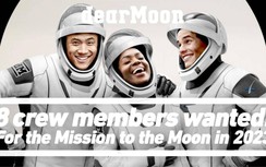 Tỷ phú Nhật mời 8 người cùng du ngoạn Mặt Trăng miễn phí