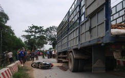 Va chạm với xe tải, một phụ nữ ở Nghệ An tử vong thương tâm