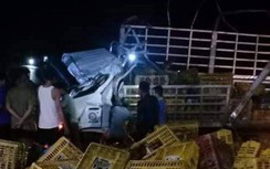 Xe tải bất ngờ lật trên đường Hồ Chí Minh, tài xế và phụ xe tử vong