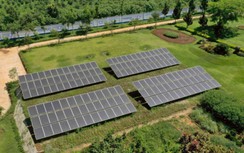 Vinamilk đầu tư hệ thống năng lượng mặt trời tại 12 trang trại