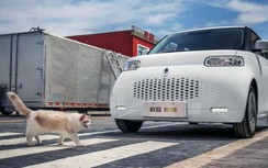 Xe ô tô điện Ora White Cat sắp về Việt Nam, giá chỉ từ 270 triệu đồng