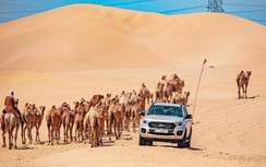 Ford Ranger vượt qua thử thách ở địa điểm nóng nhất hành tinh