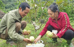 Từ kẻ mang tội giết người thành triệu phú nông dân