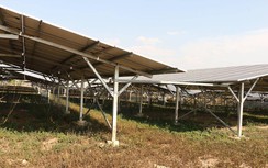 Điện mặt trời vỏ bọc trang trại: Xử lý nghiêm, giảm giá mua sẽ hết gian dối