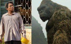 Bom tấn "Godzilla đại chiến Kong" phá kỷ lục của "Bố già" tại phòng vé Việt