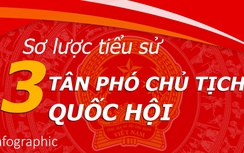 Infographic: Sơ lược tiểu sử 3 tân Phó chủ tịch Quốc hội