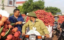 Chuẩn bị đón 500 thương nhân Trung Quốc sang thu mua vải thiều Lục Ngạn