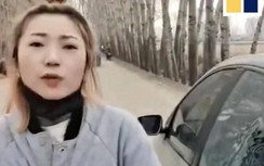 Video kinh hoàng vụ hổ dữ tấn công người, phá ô tô ở Trung Quốc