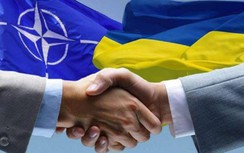 Bloomberg: Ukraine sẽ không bao giờ được gia nhập NATO nếu để mất Donbass