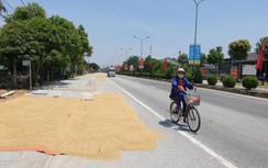 Chùm ảnh: Quốc lộ tại Hà Tĩnh thành sân phơi lúa, tai nạn rình rập