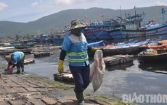 Tốn tiền tỷ dọn rác, vì sao Âu thuyền Thọ Quang vẫn ô nhiễm môi trường?