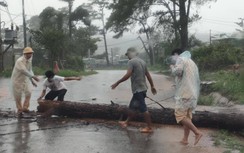 Hình ảnh đẹp CSGT Đắk Nông giúp dân xử lý cây đổ trong mưa lớn