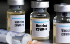 Chính phủ thành lập Quỹ vaccine phòng COVID-19 Việt Nam