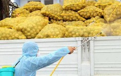 Việt Nam bác khả năng virus SARS-CoV-2 lây nhiễm qua hàng xuất nhập khẩu