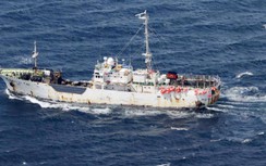 Vụ tàu Nga đâm tàu Nhật: Tàu và thuyền trưởng Nga có thể bị tạm giữ