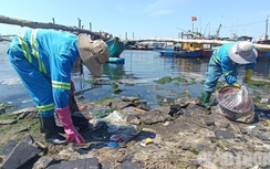 Đấu thầu dọn rác Cảng cá Thọ Quang: Doanh nghiệp kiến nghị bị "loại oan"?