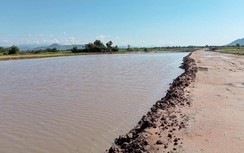 Cao tốc Phan Thiết - Vĩnh Hảo: Nước ngập công trường vì thiếu đất đắp