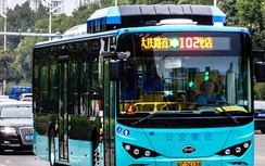 Bức tranh thị trường xe bus điện trên toàn cầu: Trung Quốc đang dẫn đầu