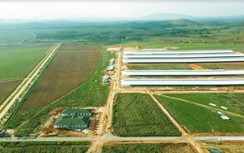 Siêu dự án trang trại của Vinamilk tại Lào sẽ “cho sữa” vào đầu năm 2022