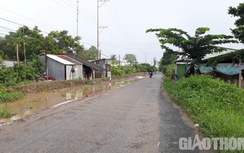 Sẽ xử lý nhà thầu chủ quan làm chậm tiến độ đường Ngan Dừa - Ninh Quới