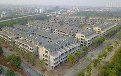 Hưng Yên mời thầu để hợp thức 200 biệt thự Vạn Tuế-Sago Palm "xây chui"