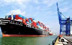 Hàng container qua cảng biển tiếp đà tăng hai con số