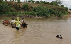 Gia Lai: Bất chấp hiểm nguy rình rập, người dân 30 năm lội sông đi làm
