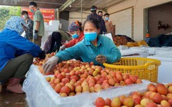 Bắc Giang: Đã khống chế ổ dịch trong cộng đồng tại Lục Ngạn với 9 F0