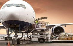 Bộ GTVT yêu cầu làm rõ sự cần thiết lập hãng hàng không vận chuyển hàng hóa