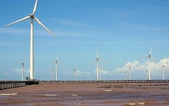 Nhiều dự án điện gió sẽ “chết đứng” vì thay đổi chính sách