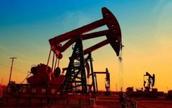 Giá xăng dầu hôm nay 2/7: OPEC+ nắm giữ được thị trường, đà tăng chắc nịch
