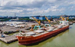 TP.HCM đầu tư gần 9.000 tỉ đồng xây 5 cảng mới